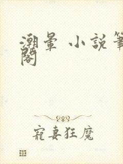 潮晕 小说笔趣阁