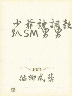 少爷被调教室跪趴SM男男