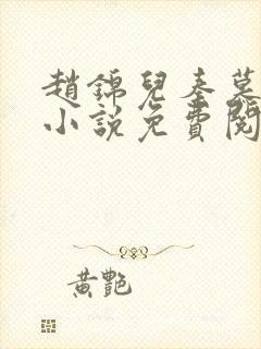 赵锦儿秦慕修的小说免费阅读全文