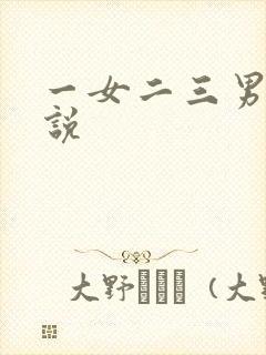 一女二三男事小说
