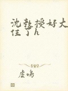 沈教授好大含不住了h