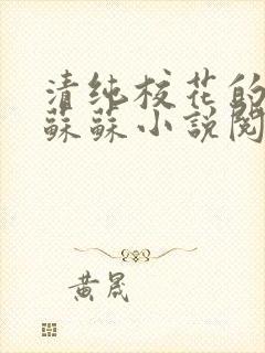 清纯校花的日常苏苏小说阅读全文