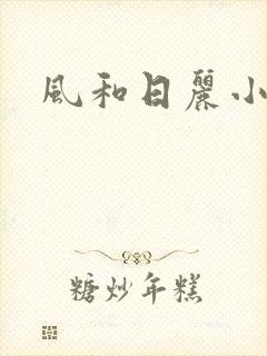 风和日丽小说