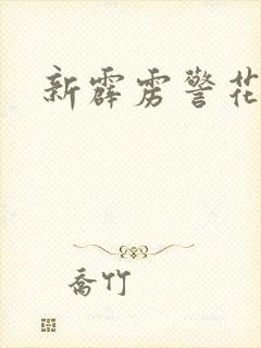 新霹雳警花封面