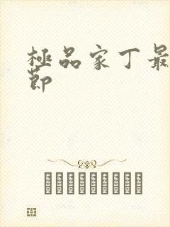 极品家丁最新章节