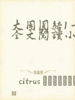 大团圆结1一6全文阅读小说于兜兜