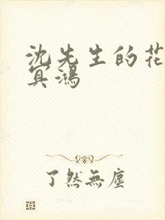 沈先生的花式调冥鸿