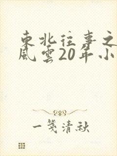 东北往事之黑道风云20年小说