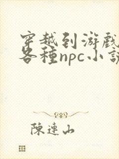 穿越到游戏里和各种npc小说