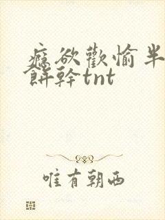 瘾欲欢愉半块小饼干tnt