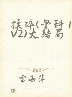 揉碎(骨科 1V2)大结局