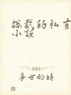 总裁的私有宝贝小说