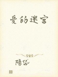 爱的迷宫