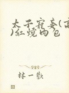 太子宠妾(高肉)红烧肉包