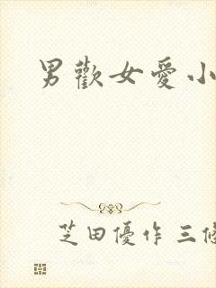 男欢女爱小说