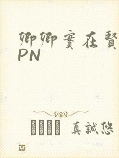 卿卿实在贤良NPN