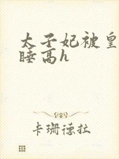 太子妃被皇上强睡高h