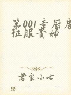 第001章厨房征服贵妇