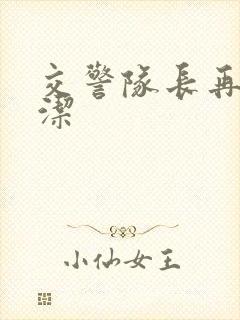 交警队长再遇白洁