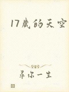 17岁的天空