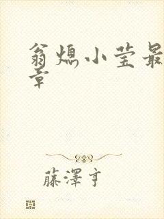 翁熄小莹最新节章