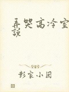 弄哭高冷室友小说