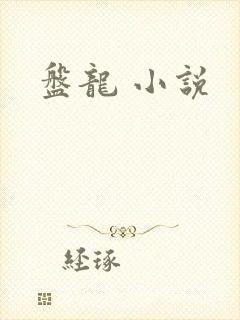 盘龙 小说
