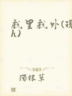 戏里戏外(现场h)