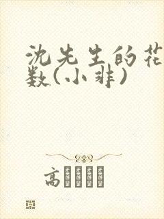 沈先生的花式调数(小非)