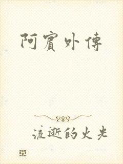 阿宾外传
