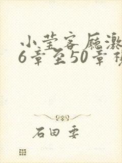 小莹客厅激情46章至50章视