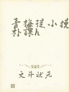 青梅从小摸到大补课h