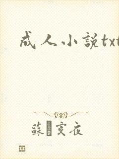 成人小说txt