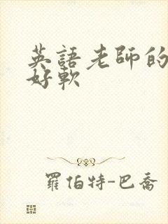 英语老师的兔子好软