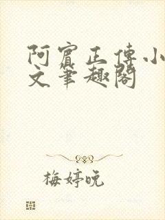 阿宾正传小说全文笔趣阁