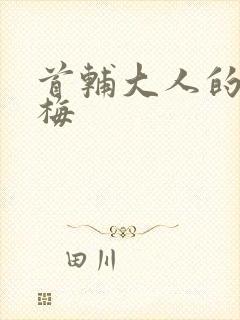 首辅大人的小青梅