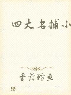 四大名捕小说