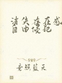 消失存在感消失自由侵犯