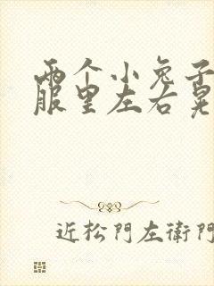 两个小兔子在衣服里左右晃