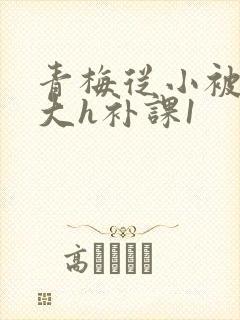 青梅从小被c到大h补课1