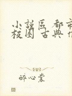 小说区 都市 校园 古典 偷拍