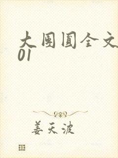 大团圆全文阅读01封面