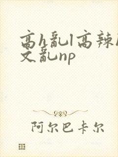 《高h乱l高辣h文乱np》小说封面