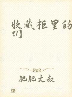 收藏柜里的男人们