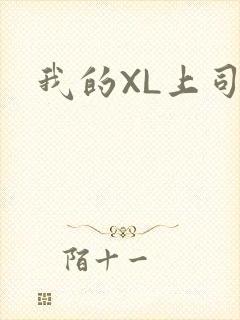 我的XL上司