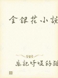 金银花小说乐可