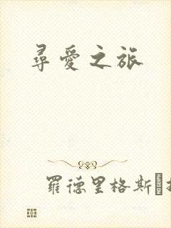 寻爱之旅