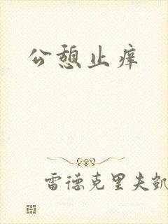公憩止痒封面