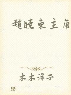 赵晓东主角小说