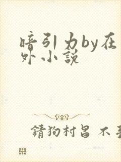 暗引力by在言外小说